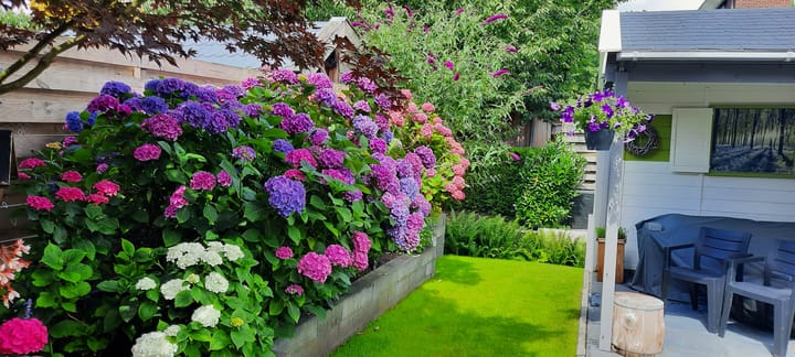 Photo 20 of Laan der Kruisheren 51