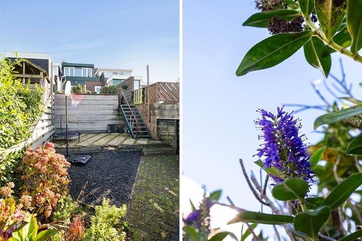 Foto 3 van Aalsmeerderdijk 572