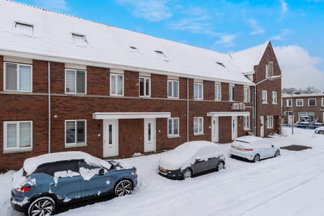 undefined main image