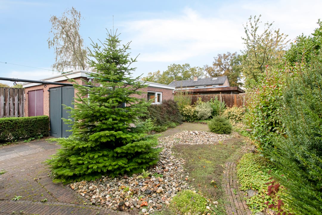 Foto 46 van van Houtstraat 18