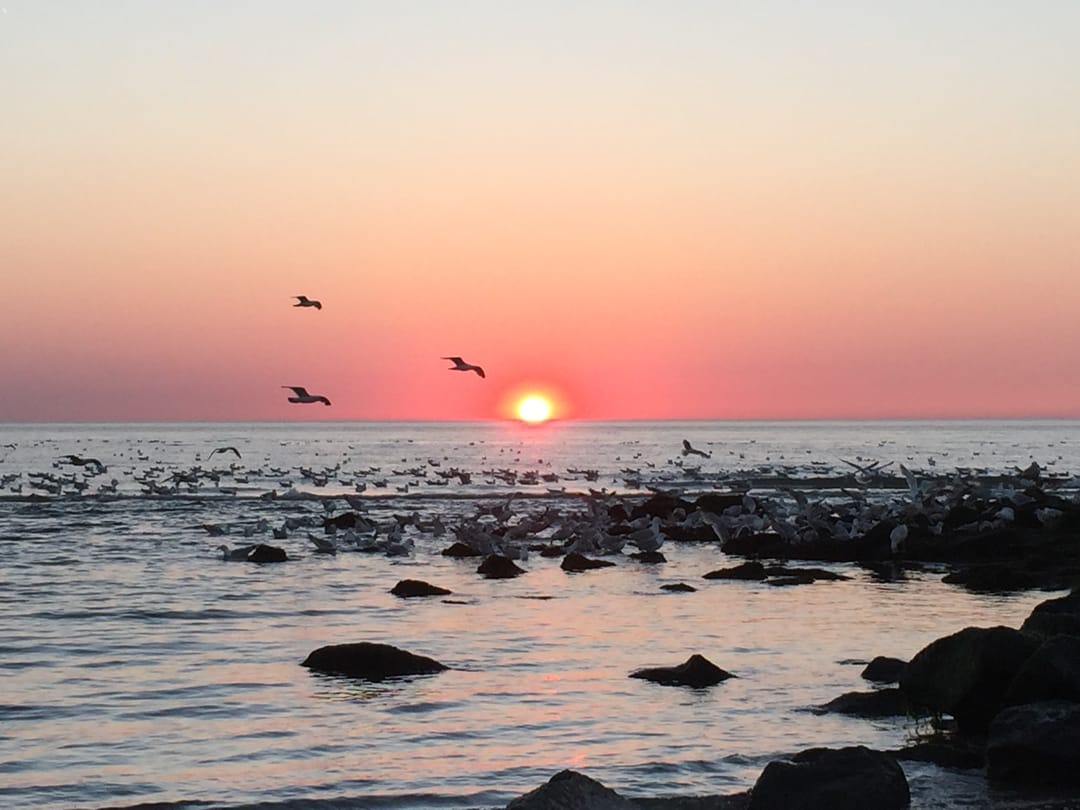 Foto 58 van Wieringsestraat 194