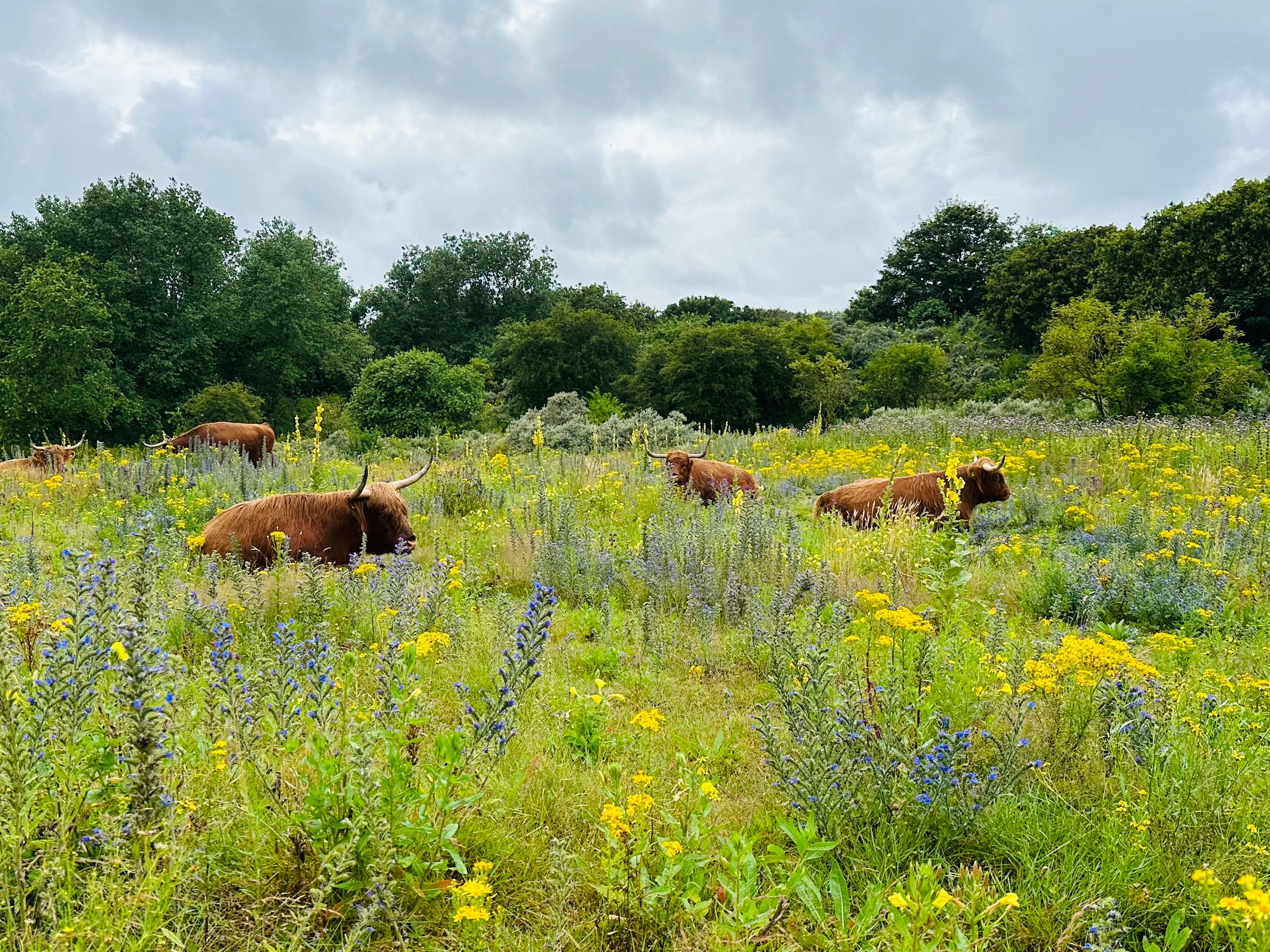 Foto 57 van Wieringsestraat 194