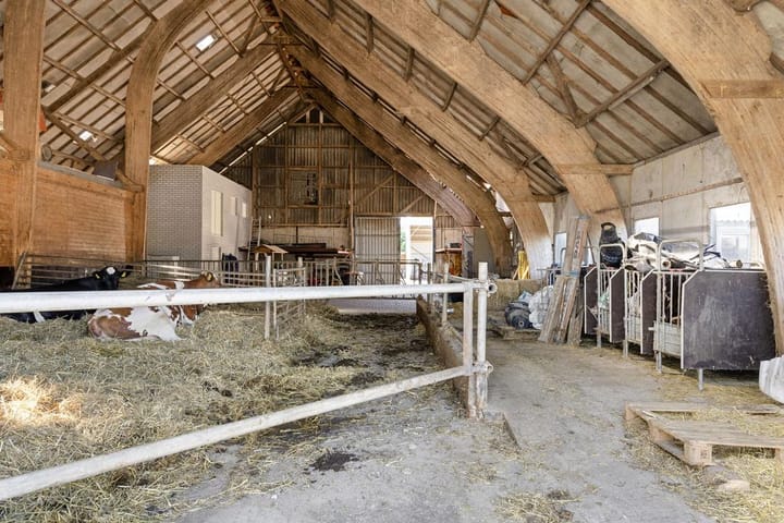 Photo 48 of Stobbenweg 38