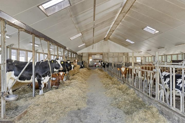 Photo 51 of Stobbenweg 38