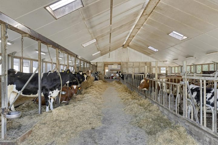 Photo 52 of Stobbenweg 38