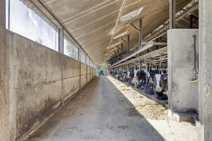 Photo 50 of Stobbenweg 38