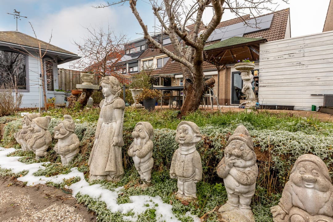 Photo 38 of Buitenhof 20