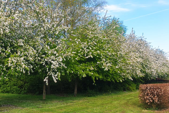 Foto 72 van Schotweg 11