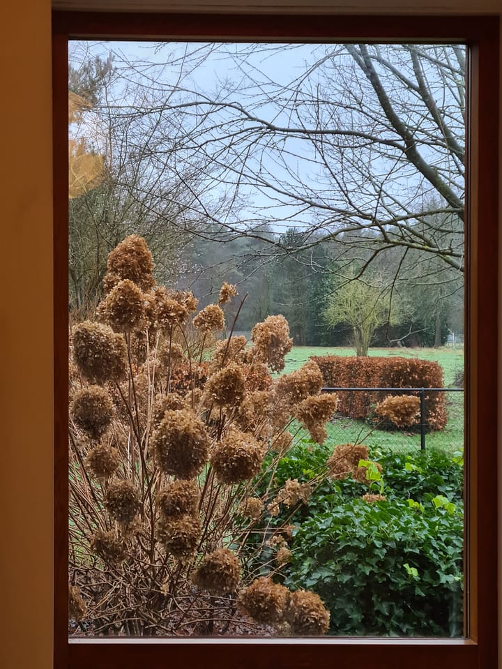 Foto 76 van Schotweg 11