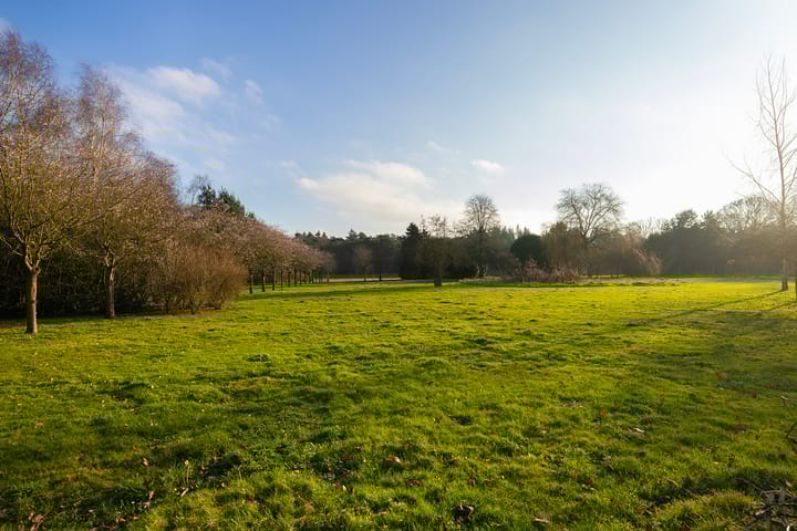 Foto 80 van Schotweg 11