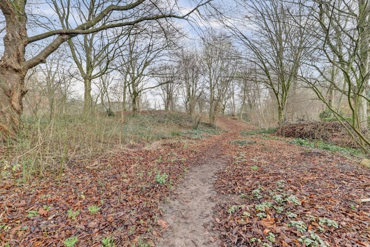 Foto 56 van Boesmate 31