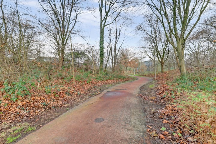 Foto 57 van Boesmate 31