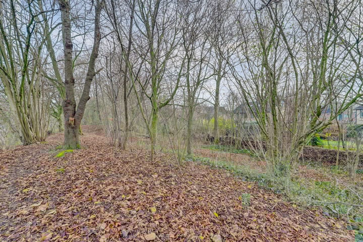 Foto 58 van Boesmate 31