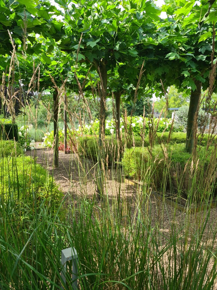 Foto 90 van Schotweg 11