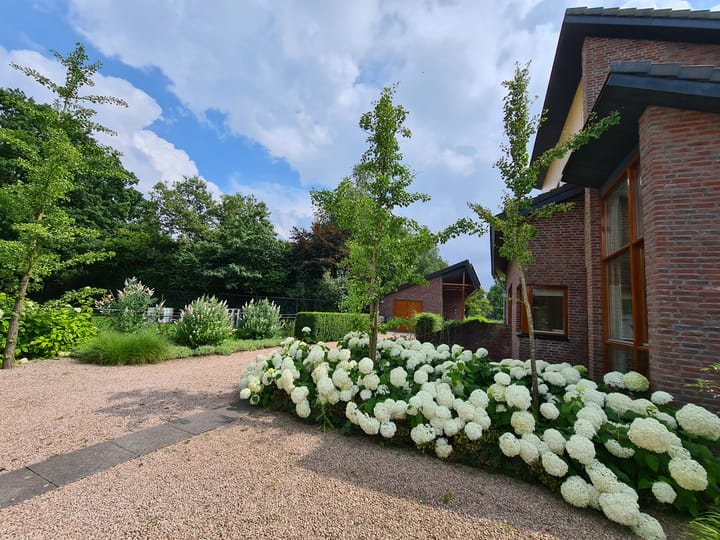 Foto 94 van Schotweg 11