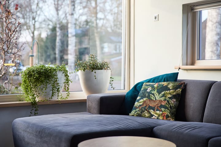 Photo 11 of Nijslagen 2