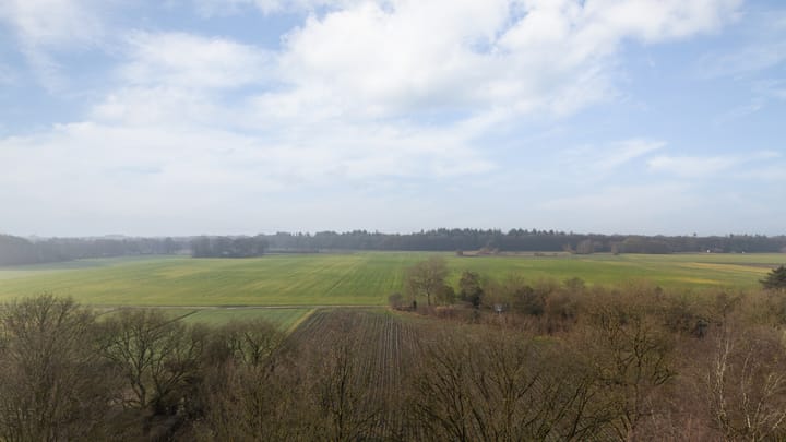 Photo 38 of Nijslagen 2