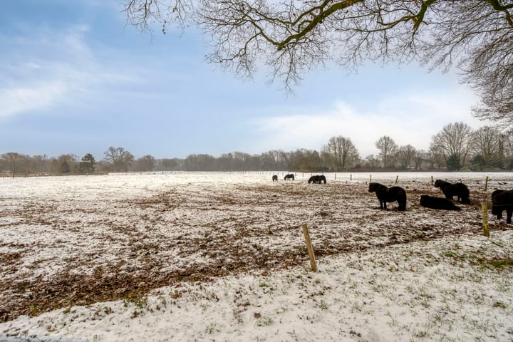 Foto 29 van Scholtinkstraat 206