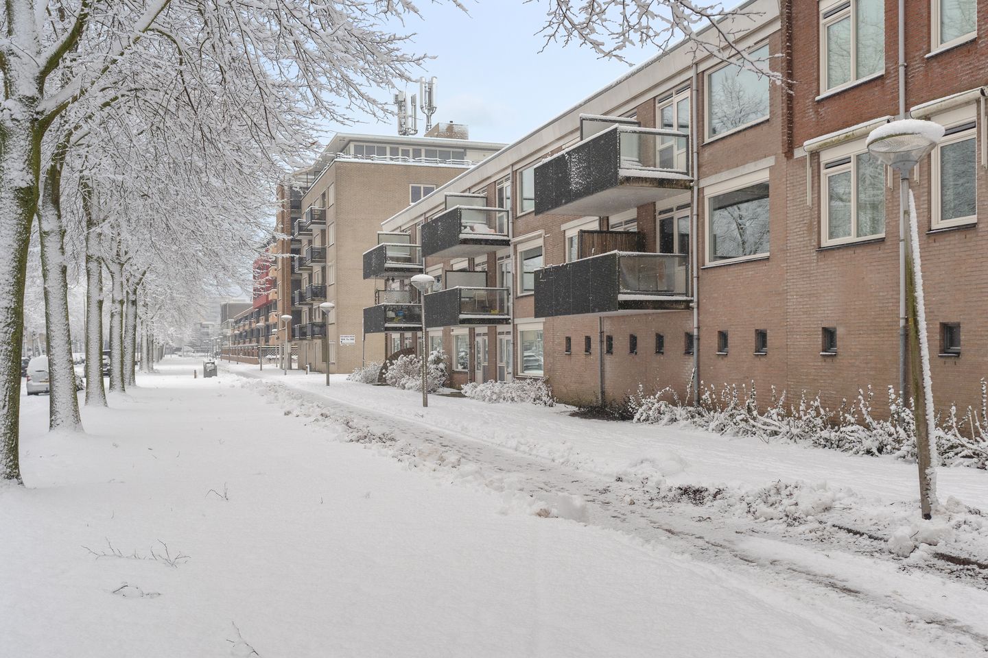 Foto 14 van Zeelandiahoeve 197