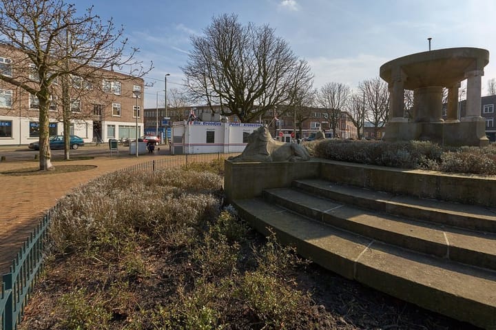 Foto 21 van Maystraat 87