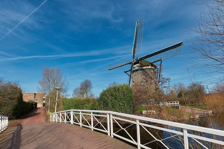 Foto 22 van Maystraat 87