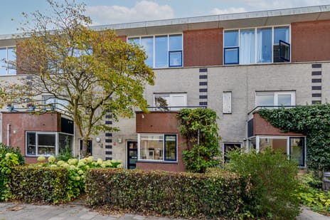 Serenadelaan thumbnail