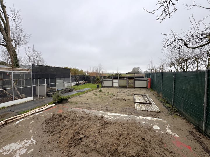 Foto 17 van Plevierstraat 11