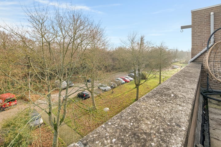 Foto 19 van Wamelstraat 135