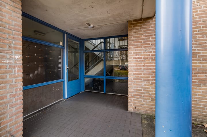 Foto 22 van Wamelstraat 135