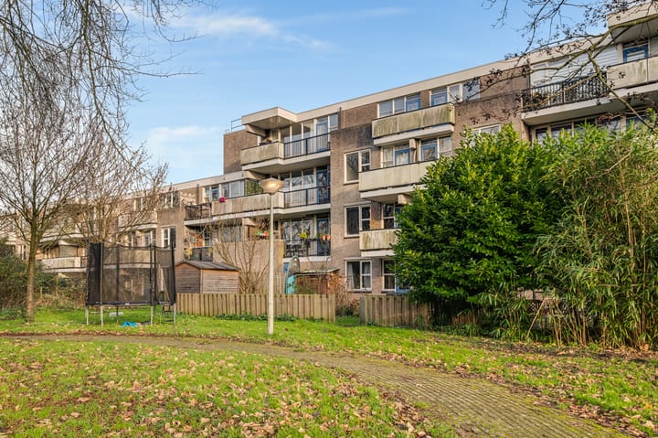 Foto 25 van Wamelstraat 135