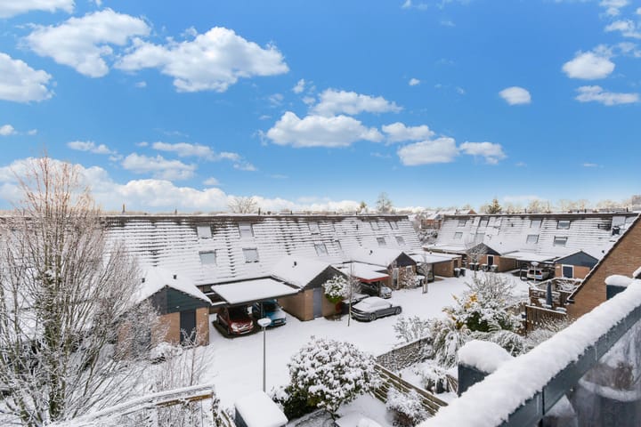 Foto 19 van Rosmolen 41