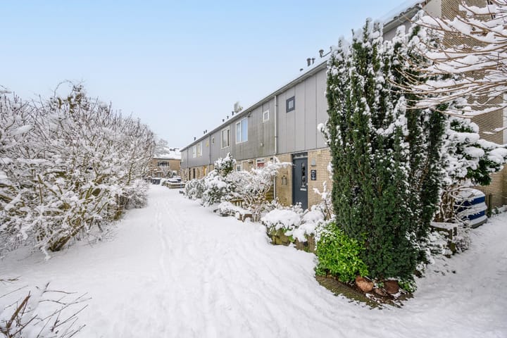 Foto 5 van Hartekruidpad 11