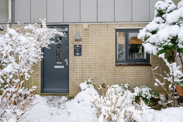 Foto 6 van Hartekruidpad 11