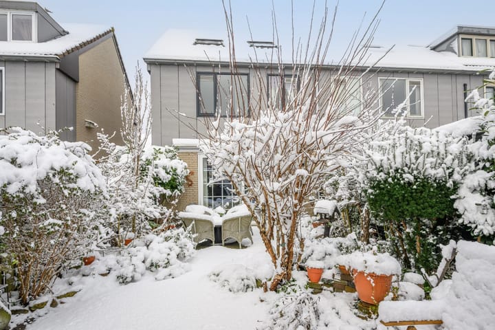 Foto 18 van Hartekruidpad 11