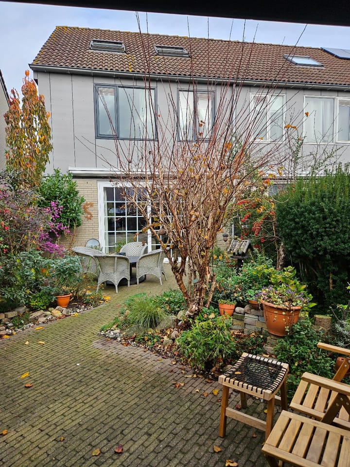 Foto 19 van Hartekruidpad 11