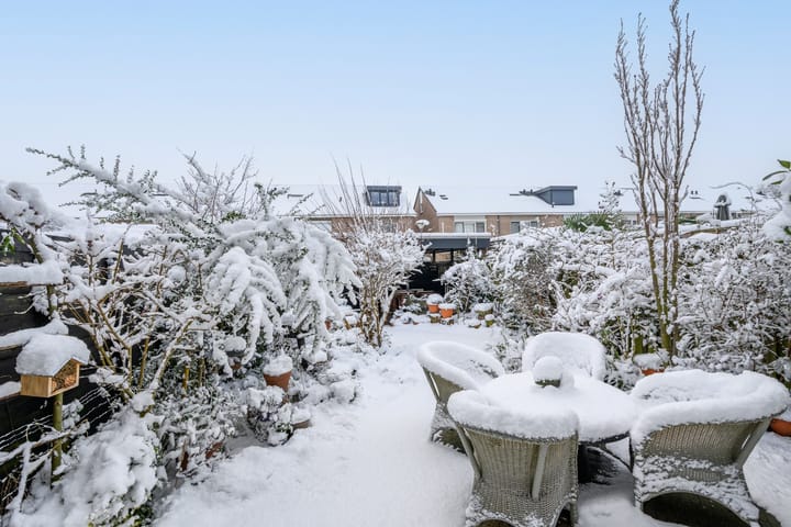 Foto 22 van Hartekruidpad 11