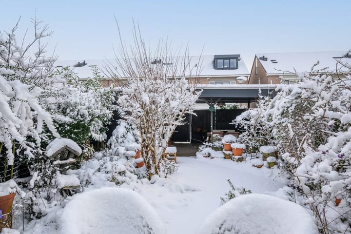 Foto 23 van Hartekruidpad 11