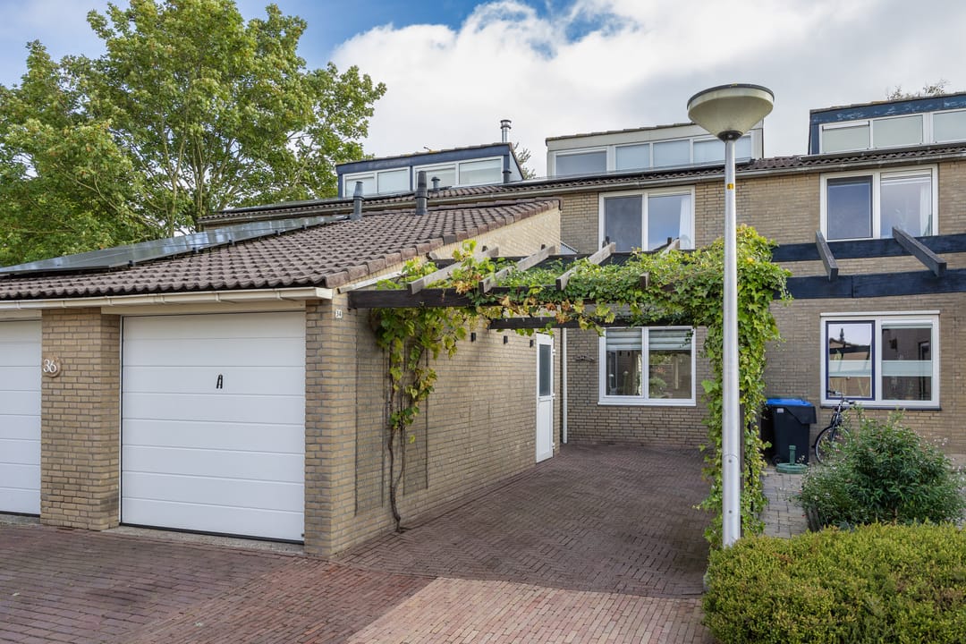Photo 1 of Zenegroen 34