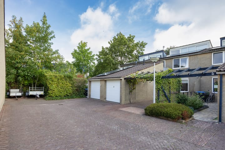 Foto 2 van Zenegroen 34