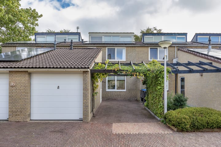 Foto 3 van Zenegroen 34