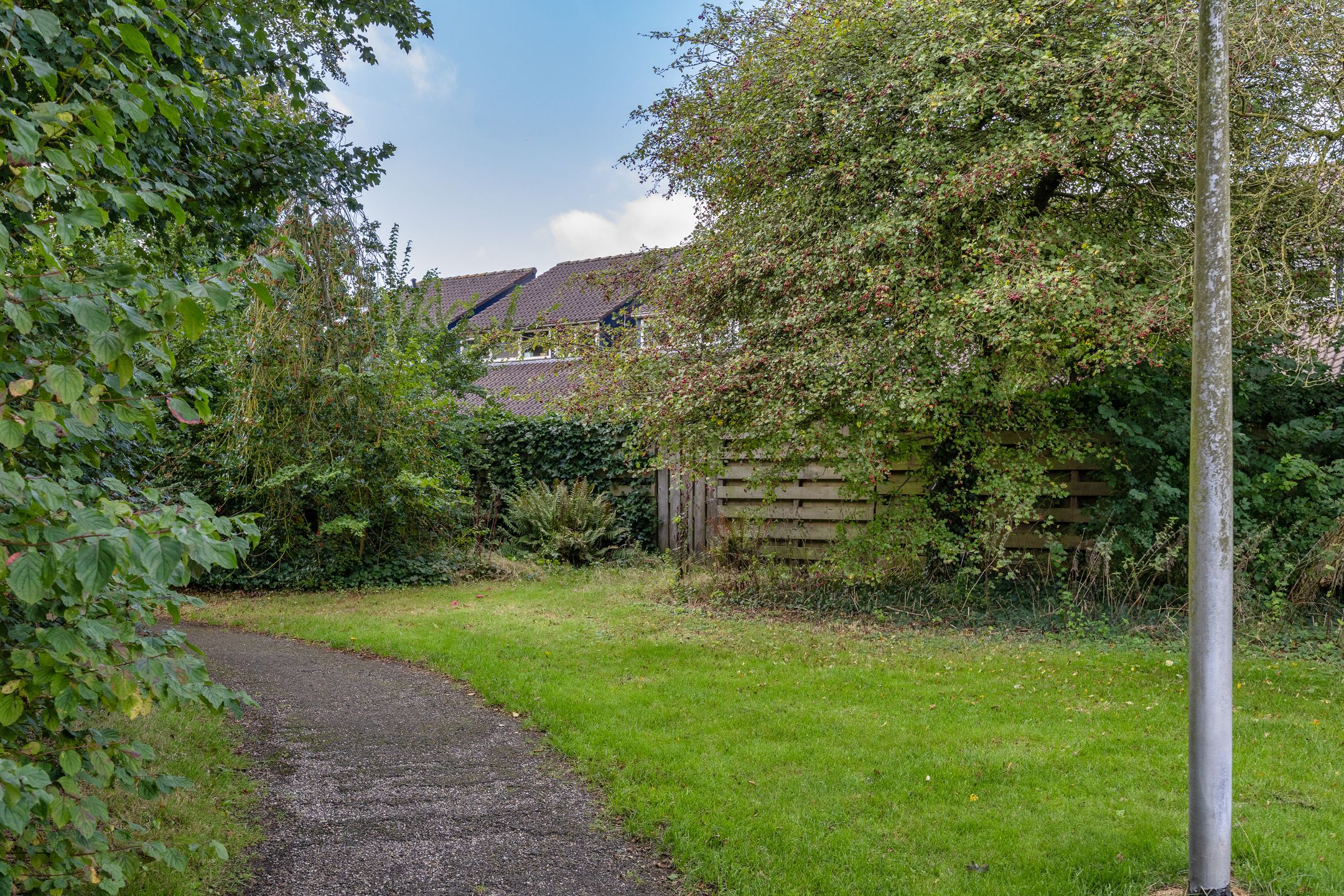 Photo 36 of Zenegroen 34