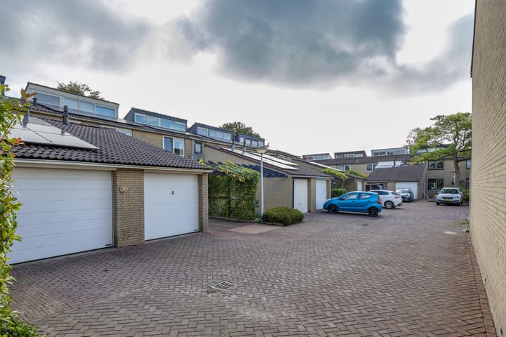 Photo 39 of Zenegroen 34