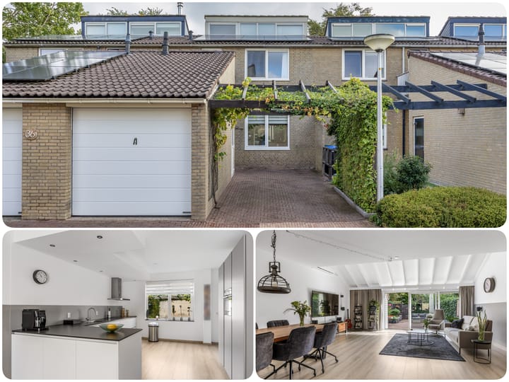 Photo 42 of Zenegroen 34