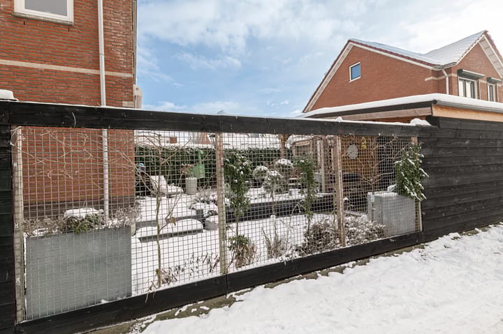 Foto 43 van Zilvervosstraat 1