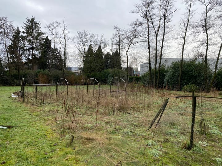 Foto 10 van Erfstraat 1