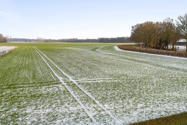 Foto 55 van Zilstraat 57