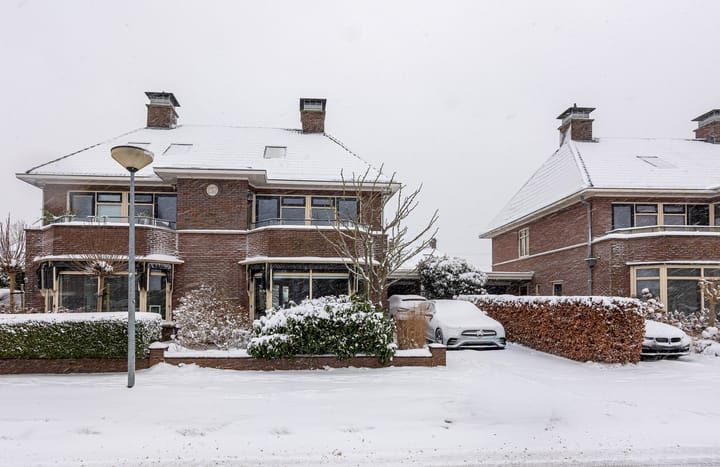 Foto 2 van Vestesingel 68