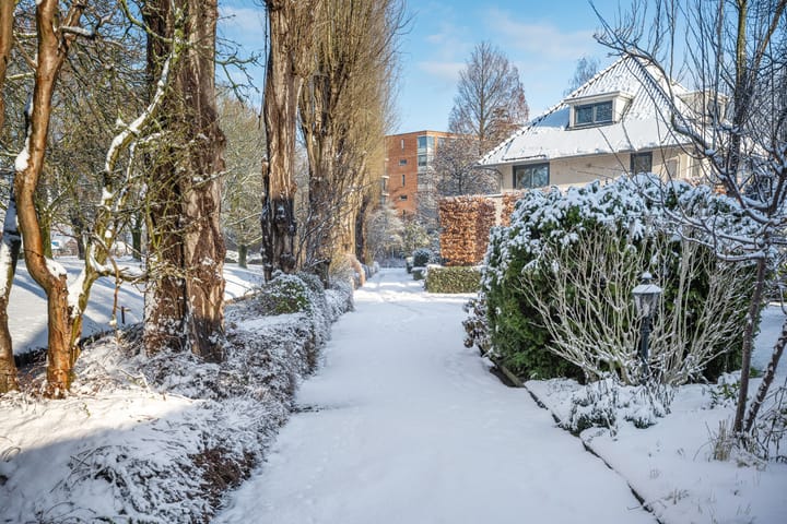 Photo 38 of Irislaan 46-B