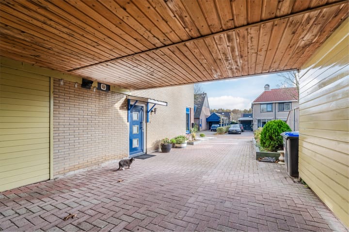 Foto 5 van Kwikstaart 6