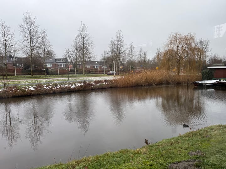 Foto 7 van Händellaan 100